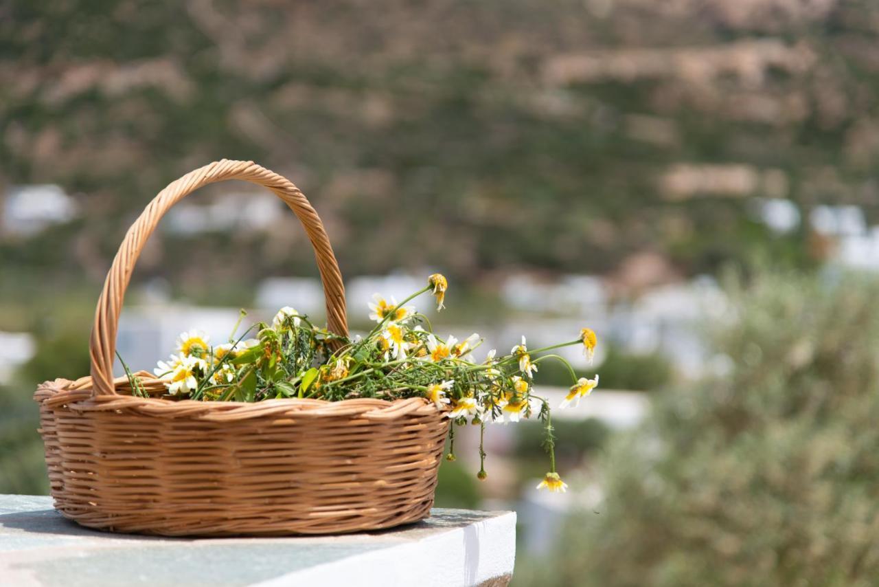Thimari Villas バティ エクステリア 写真